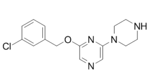 CP-809101 479683-64-2